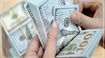 للمرة الأولى منذ فترة.. استقرار سعر الدولار اليوم في مصر ماذا يعني للمواطن؟ 1